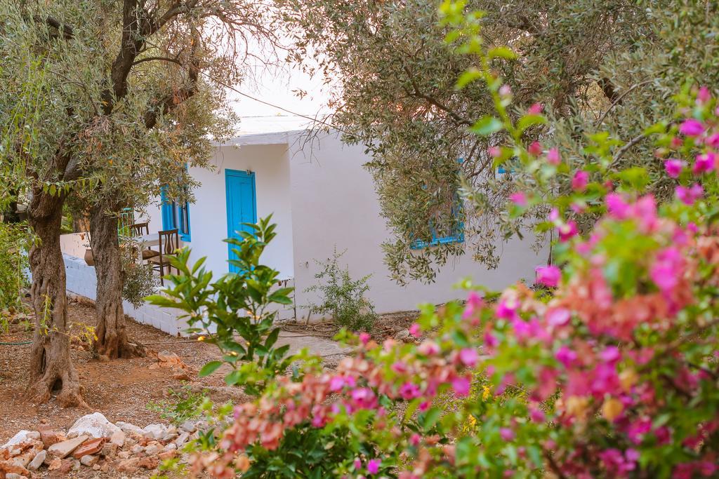 Kaktus Cakil Villa Kaş Exterior photo