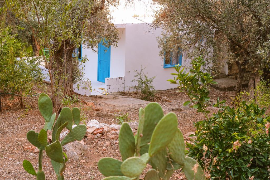 Kaktus Cakil Villa Kaş Exterior photo