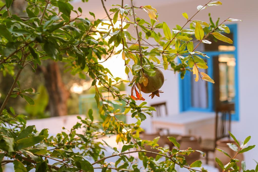 Kaktus Cakil Villa Kaş Exterior photo